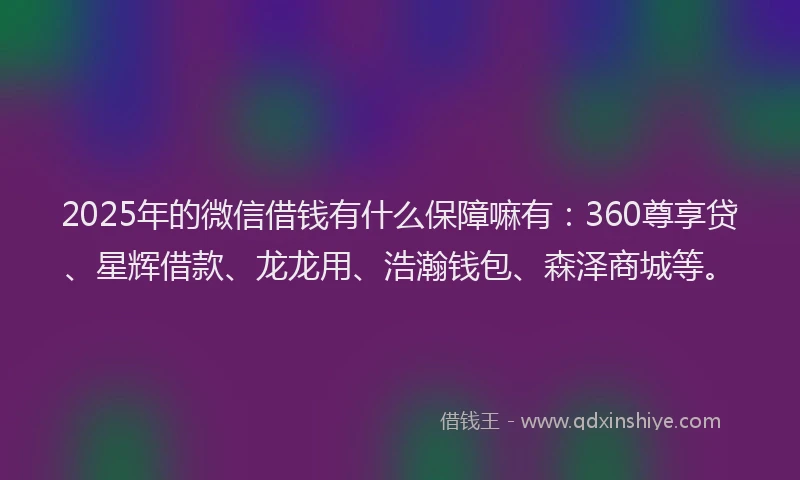 2025年的微信借钱有什么保障嘛有：360尊享贷、星辉借款、龙龙用、浩瀚钱包、森泽商城等。