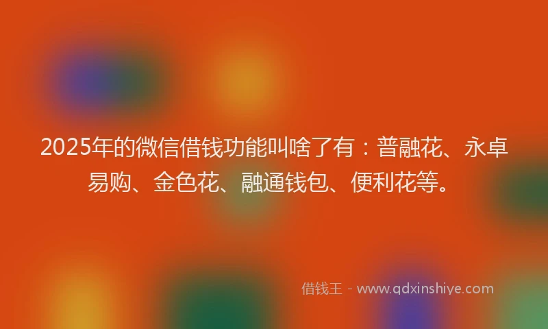 2025年的微信借钱功能叫啥了有：普融花、永卓易购、金色花、融通钱包、便利花等。