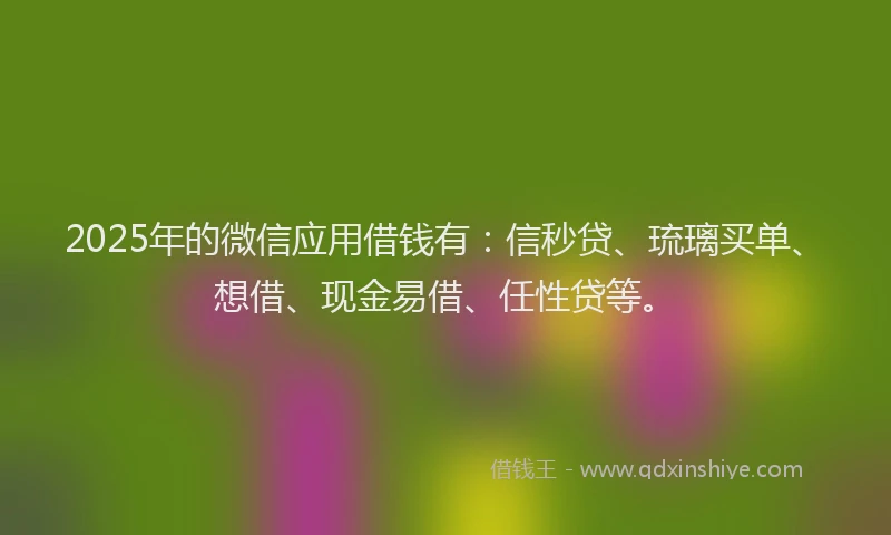2025年的微信应用借钱有：信秒贷、琉璃买单、想借、现金易借、任性贷等。