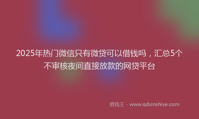 2025年热门微信只有微贷可以借钱吗，汇总5个不审核夜间直接放款的网贷平台
