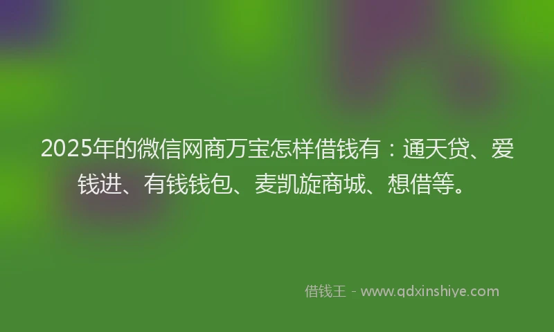 2025年的微信网商万宝怎样借钱有：通天贷、爱钱进、有钱钱包、麦凯旋商城、想借等。