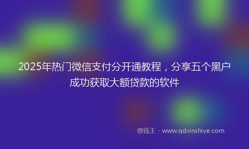 2025年热门微信支付分开通教程，分享五个黑户成功获取大额贷款的软件