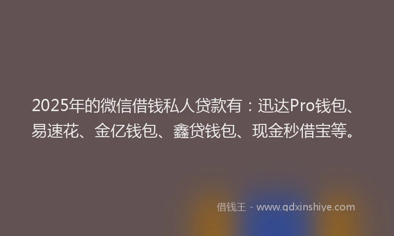 2025年的微信借钱私人贷款有：迅达Pro钱包、易速花、金亿钱包、鑫贷钱包、现金秒借宝等。