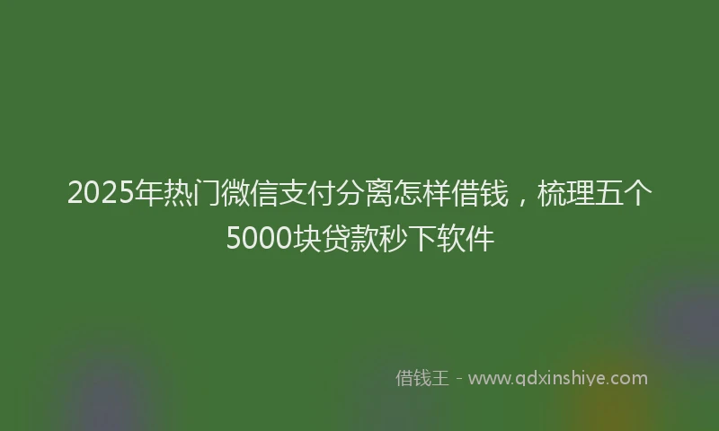 2025年热门微信支付分离怎样借钱，梳理五个5000块贷款秒下软件