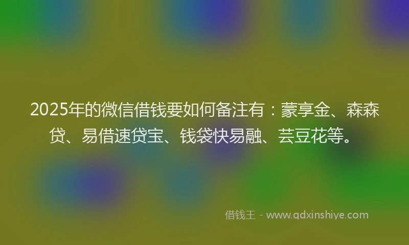 2025年的微信借钱要如何备注有：蒙享金、森森贷、易借速贷宝、钱袋快易融、芸豆花等。