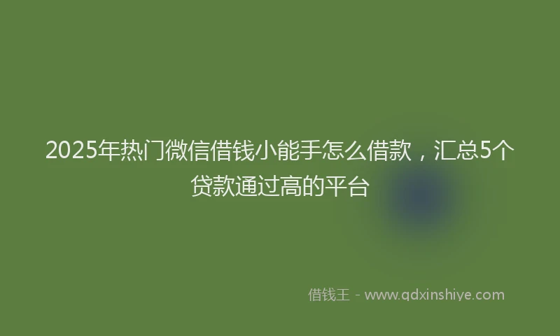 2025年热门微信借钱小能手怎么借款，汇总5个贷款通过高的平台