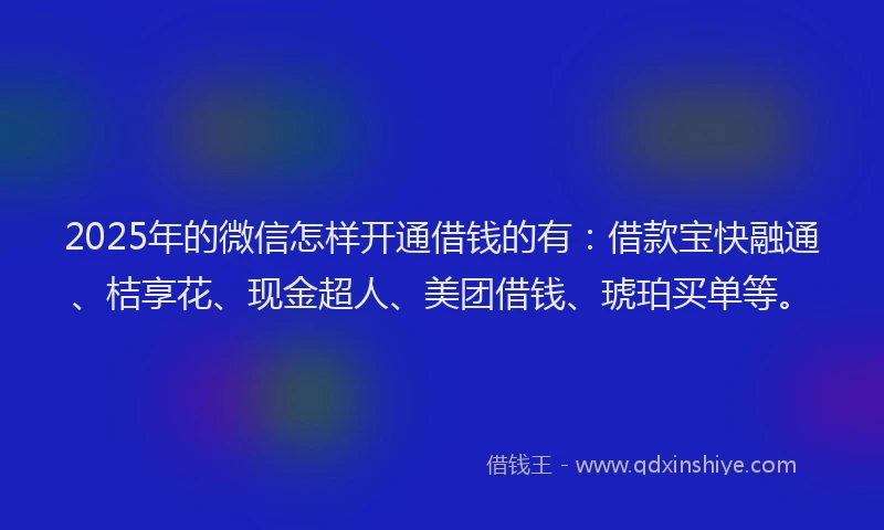 2025年的微信怎样开通借钱的有：借款宝快融通、桔享花、现金超人、美团借钱、琥珀买单等。