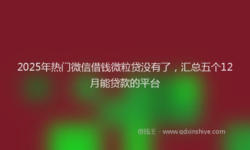 2025年热门微信借钱微粒贷没有了，汇总五个12月能贷款的平台