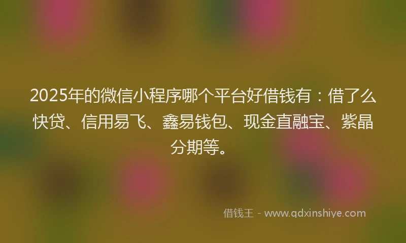 2025年的微信小程序哪个平台好借钱有：借了么快贷、信用易飞、鑫易钱包、现金直融宝、紫晶分期等。