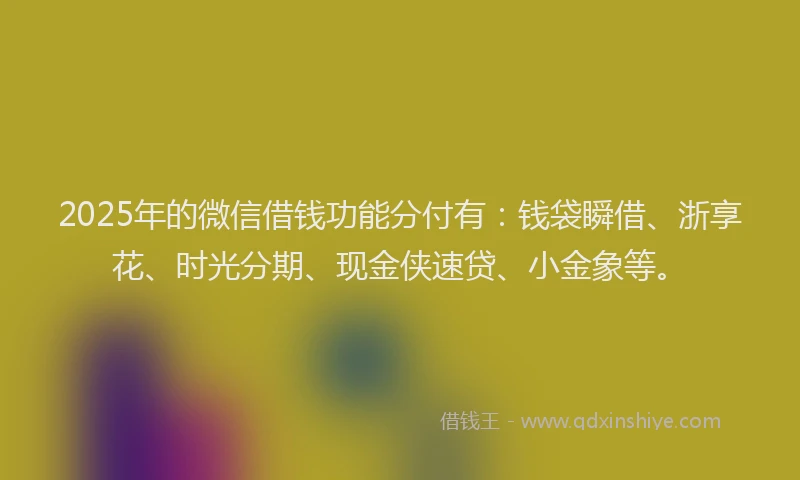 2025年的微信借钱功能分付有：钱袋瞬借、浙享花、时光分期、现金侠速贷、小金象等。