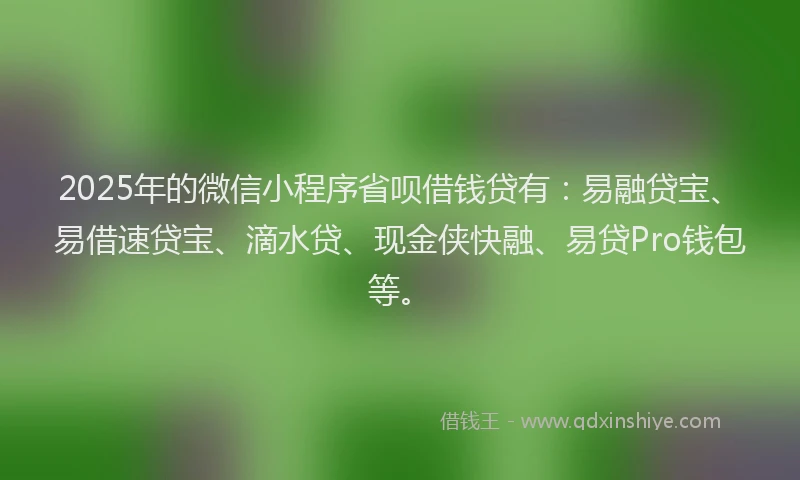 2025年的微信小程序省呗借钱贷有：易融贷宝、易借速贷宝、滴水贷、现金侠快融、易贷Pro钱包等。