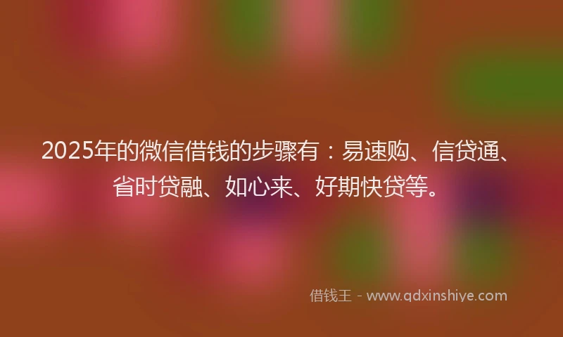 2025年的微信借钱的步骤有：易速购、信贷通、省时贷融、如心来、好期快贷等。