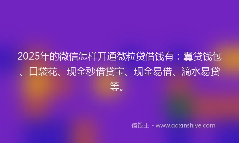 2025年的微信怎样开通微粒贷借钱有：翼贷钱包、口袋花、现金秒借贷宝、现金易借、滴水易贷等。