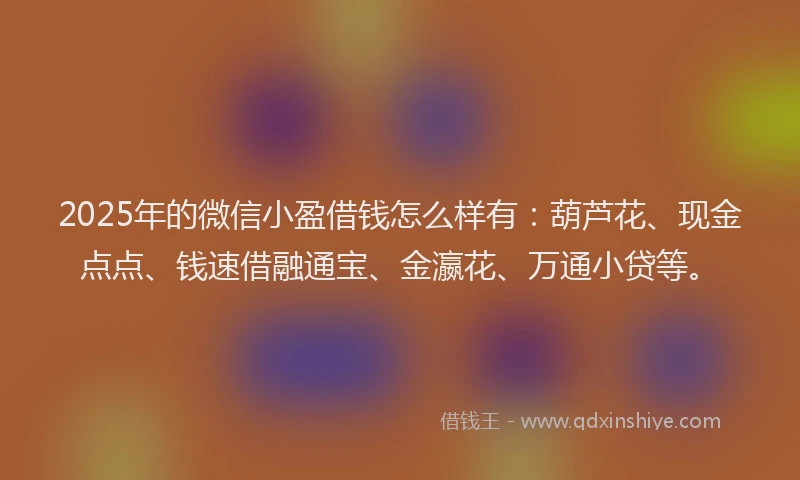 2025年的微信小盈借钱怎么样有：葫芦花、现金点点、钱速借融通宝、金瀛花、万通小贷等。