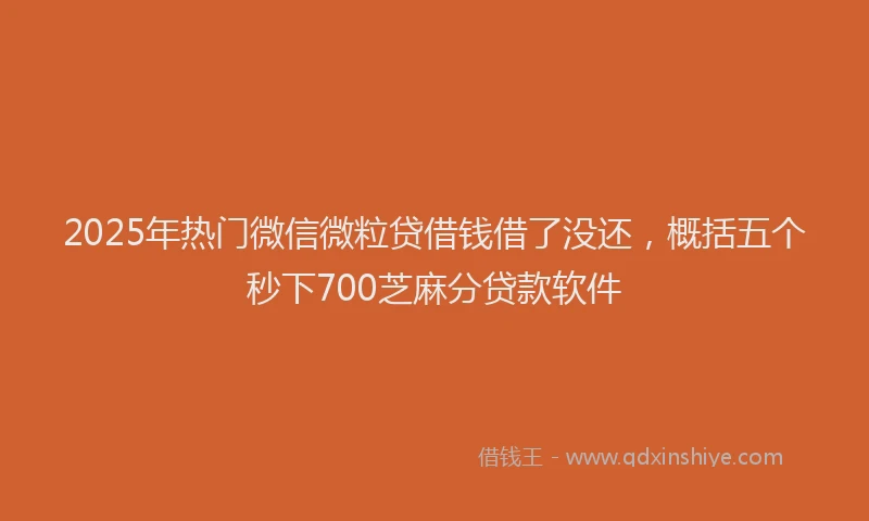 2025年热门微信微粒贷借钱借了没还，概括五个秒下700芝麻分贷款软件