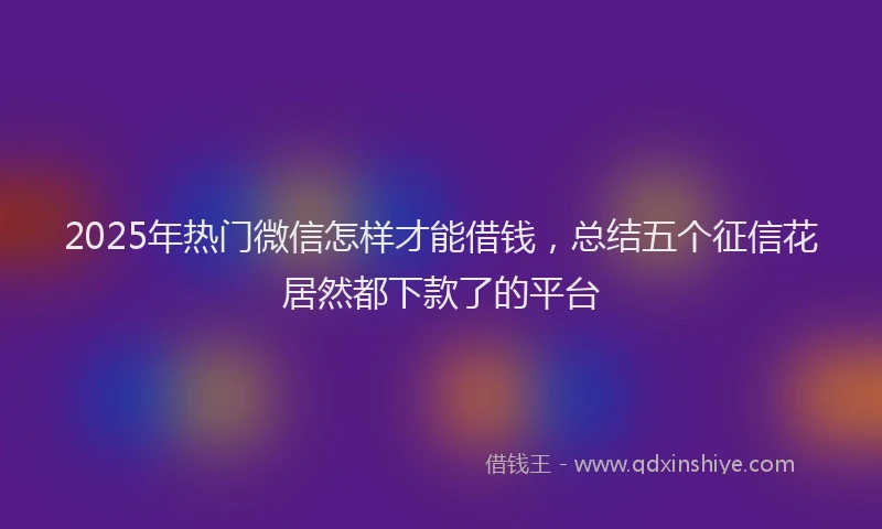 2025年热门微信怎样才能借钱，总结五个征信花居然都下款了的平台