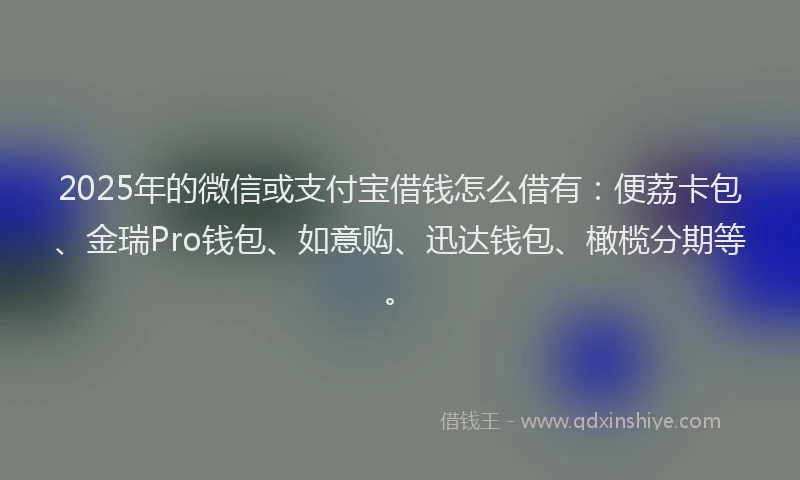 2025年的微信或支付宝借钱怎么借有：便荔卡包、金瑞Pro钱包、如意购、迅达钱包、橄榄分期等。