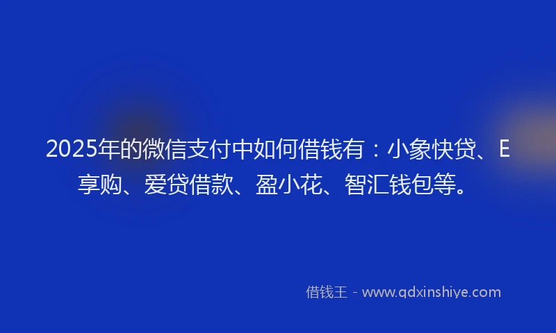 2025年的微信支付中如何借钱有：小象快贷、E享购、爱贷借款、盈小花、智汇钱包等。