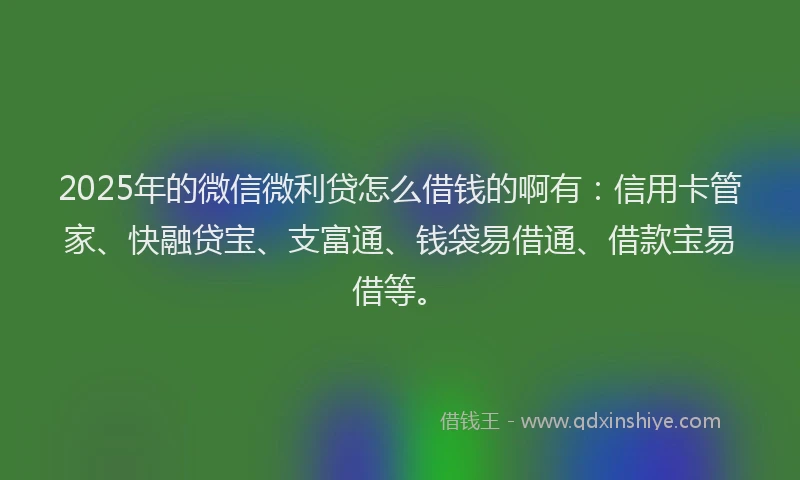 2025年的微信微利贷怎么借钱的啊有：信用卡管家、快融贷宝、支富通、钱袋易借通、借款宝易借等。