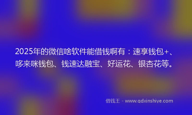 2025年的微信啥软件能借钱啊有：速享钱包+、哆来咪钱包、钱速达融宝、好运花、银杏花等。