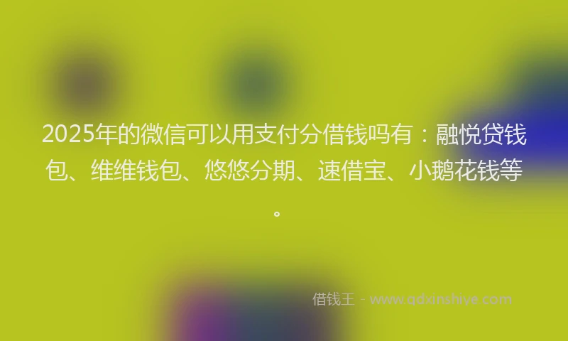 2025年的微信可以用支付分借钱吗有：融悦贷钱包、维维钱包、悠悠分期、速借宝、小鹅花钱等。
