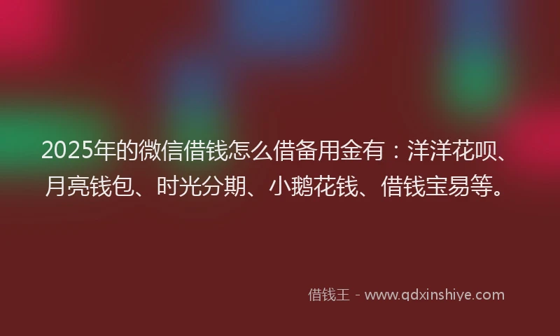 2025年的微信借钱怎么借备用金有：洋洋花呗、月亮钱包、时光分期、小鹅花钱、借钱宝易等。