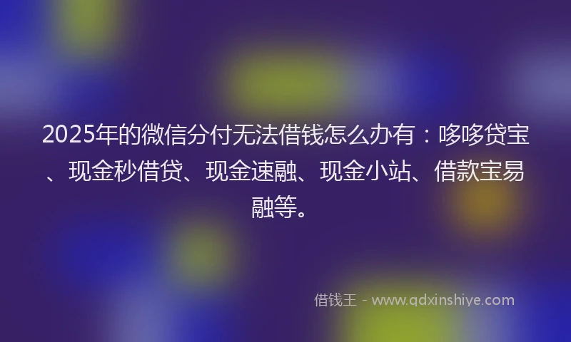 2025年的微信分付无法借钱怎么办有：哆哆贷宝、现金秒借贷、现金速融、现金小站、借款宝易融等。