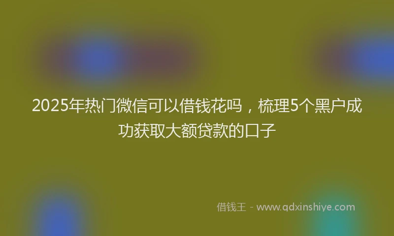 2025年热门微信可以借钱花吗，梳理5个黑户成功获取大额贷款的口子