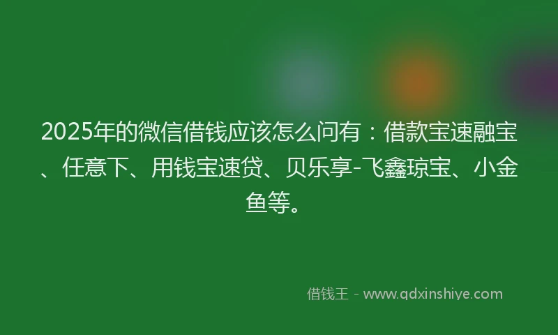 2025年的微信借钱应该怎么问有：借款宝速融宝、任意下、用钱宝速贷、贝乐享-飞鑫琼宝、小金鱼等。