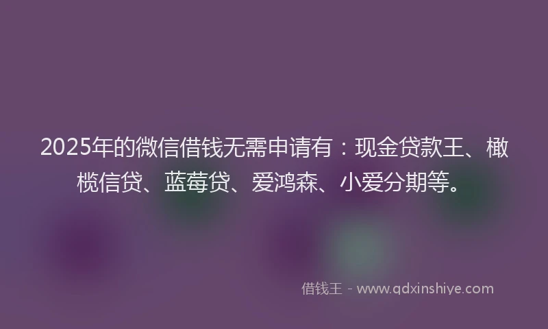 2025年的微信借钱无需申请有：现金贷款王、橄榄信贷、蓝莓贷、爱鸿森、小爱分期等。