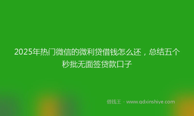 2025年热门微信的微利贷借钱怎么还，总结五个秒批无面签贷款口子