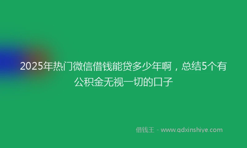 2025年热门微信借钱能贷多少年啊，总结5个有公积金无视一切的口子