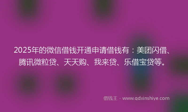 2025年的微信借钱开通申请借钱有：美团闪借、腾讯微粒贷、天天购、我来贷、乐借宝贷等。