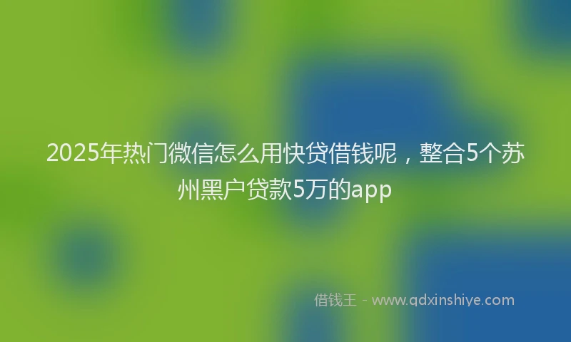 2025年热门微信怎么用快贷借钱呢，整合5个苏州黑户贷款5万的app