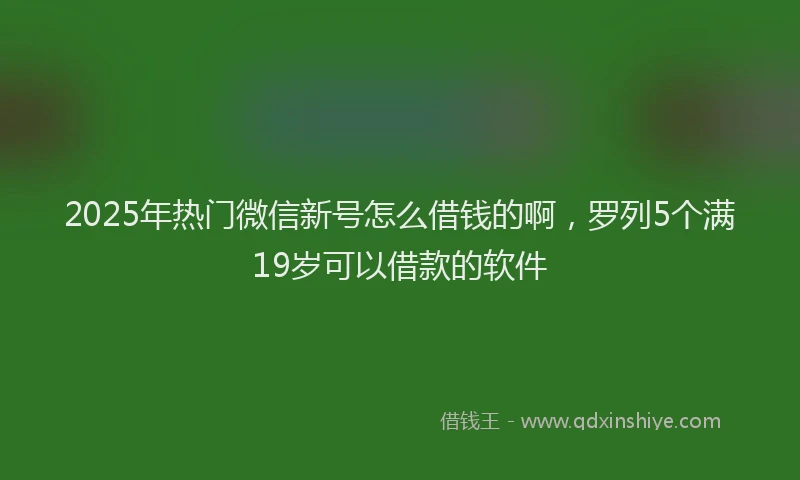2025年热门微信新号怎么借钱的啊，罗列5个满19岁可以借款的软件