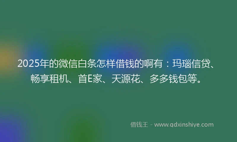 2025年的微信白条怎样借钱的啊有：玛瑙信贷、畅享租机、首E家、天源花、多多钱包等。