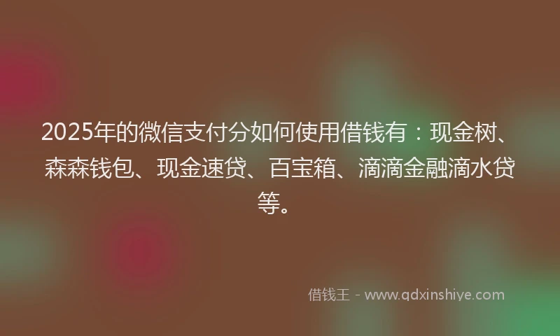 2025年的微信支付分如何使用借钱有：现金树、森森钱包、现金速贷、百宝箱、滴滴金融滴水贷等。
