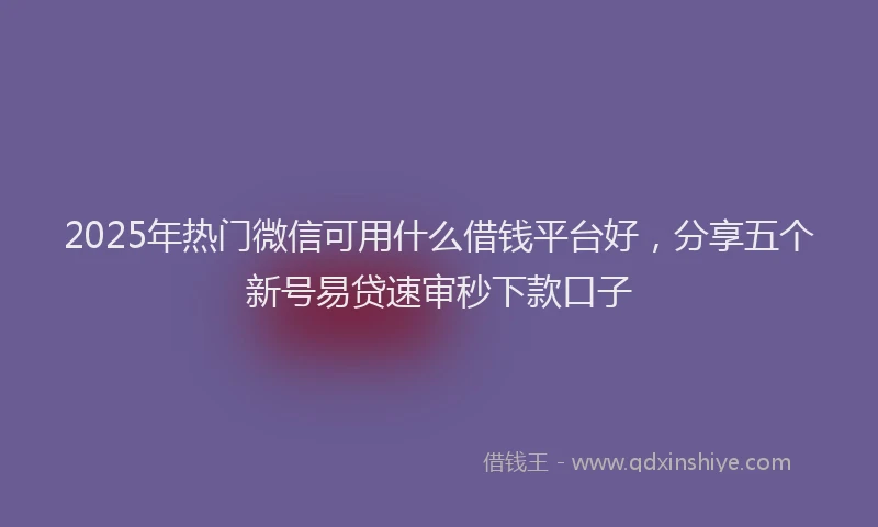 2025年热门微信可用什么借钱平台好，分享五个新号易贷速审秒下款口子