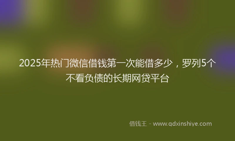 2025年热门微信借钱第一次能借多少，罗列5个不看负债的长期网贷平台