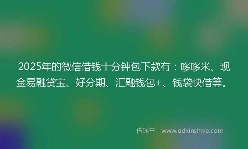 2025年的微信借钱十分钟包下款有：哆哆米、现金易融贷宝、好分期、汇融钱包+、钱袋快借等。