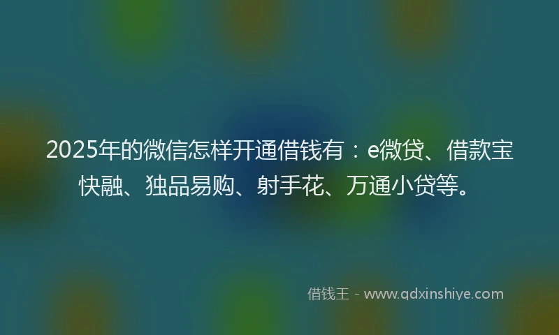 2025年的微信怎样开通借钱有：e微贷、借款宝快融、独品易购、射手花、万通小贷等。