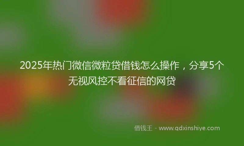 2025年热门微信微粒贷借钱怎么操作，分享5个无视风控不看征信的网贷