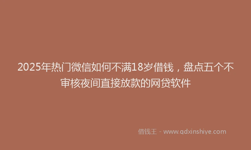 2025年热门微信如何不满18岁借钱，盘点五个不审核夜间直接放款的网贷软件