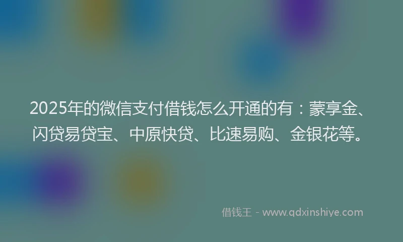 2025年的微信支付借钱怎么开通的有：蒙享金、闪贷易贷宝、中原快贷、比速易购、金银花等。
