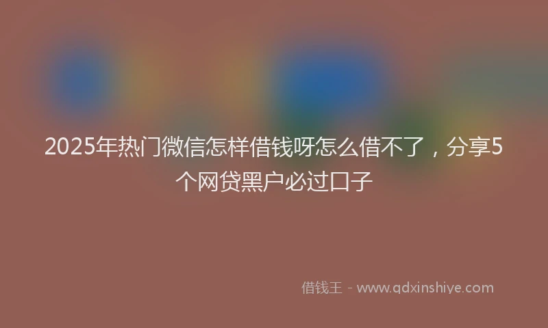 2025年热门微信怎样借钱呀怎么借不了，分享5个网贷黑户必过口子