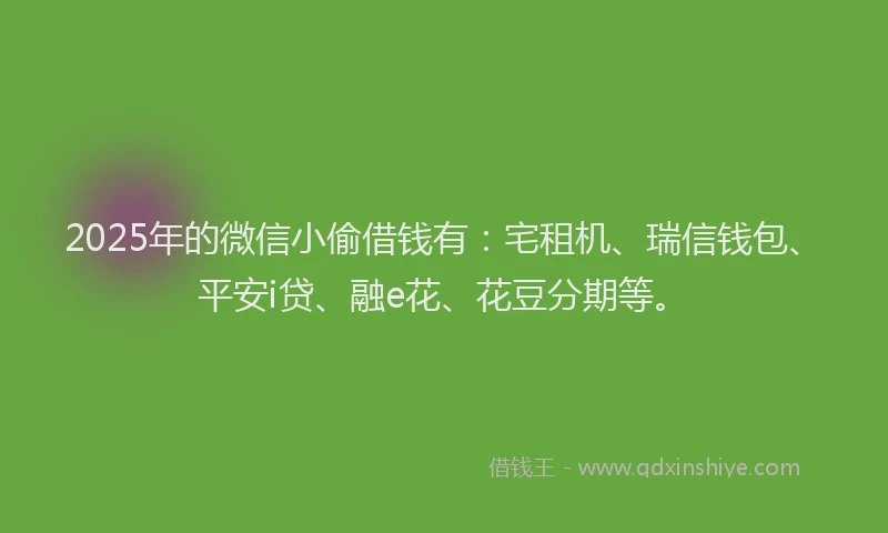 2025年的微信小偷借钱有：宅租机、瑞信钱包、平安i贷、融e花、花豆分期等。