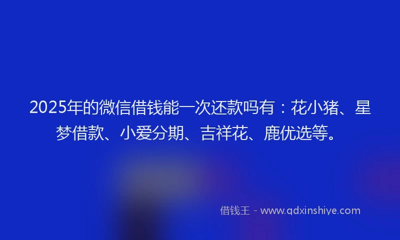 2025年的微信借钱能一次还款吗有：花小猪、星梦借款、小爱分期、吉祥花、鹿优选等。