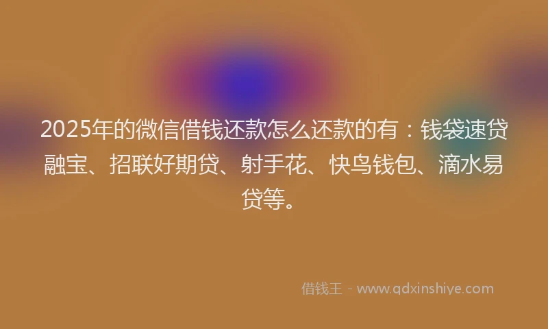 2025年的微信借钱还款怎么还款的有：钱袋速贷融宝、招联好期贷、射手花、快鸟钱包、滴水易贷等。