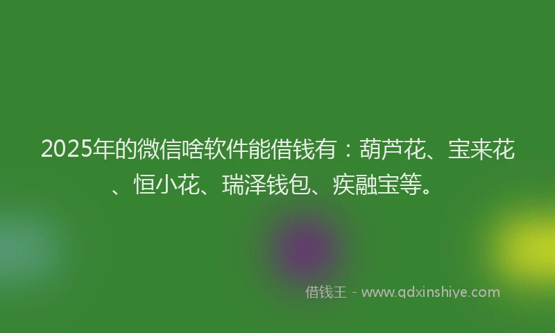2025年的微信啥软件能借钱有：葫芦花、宝来花、恒小花、瑞泽钱包、疾融宝等。