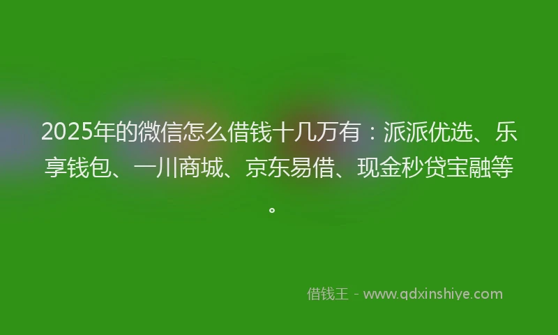 2025年的微信怎么借钱十几万有：派派优选、乐享钱包、一川商城、京东易借、现金秒贷宝融等。